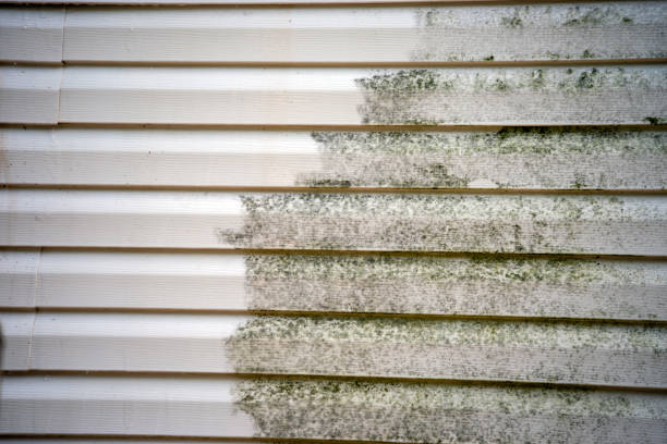 Best Carpet Removal and Disposal  in West York, PA